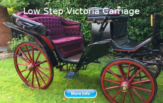 sark carriage rides 2