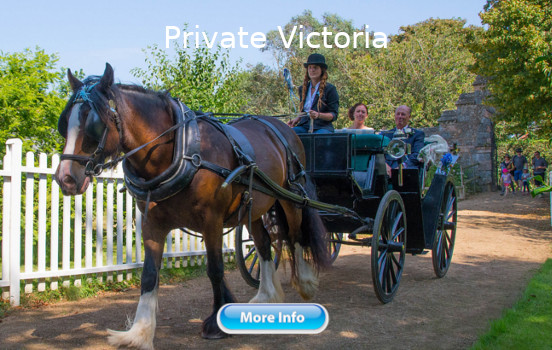 sark carriage rides 3